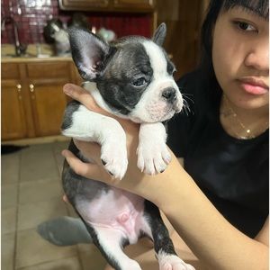 Meet your Posher, Kalia